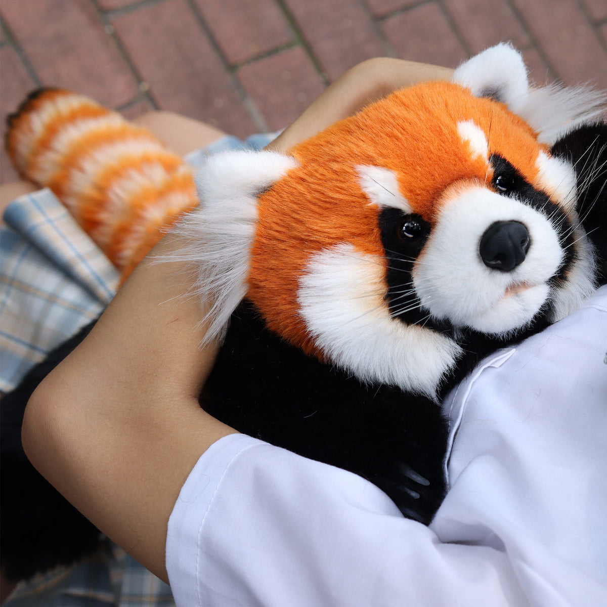 Weighted Red Panda Plush, 2.5 lb