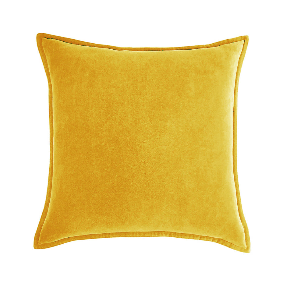 Velvet Throw Pillow with Insert, 20 x 20 in