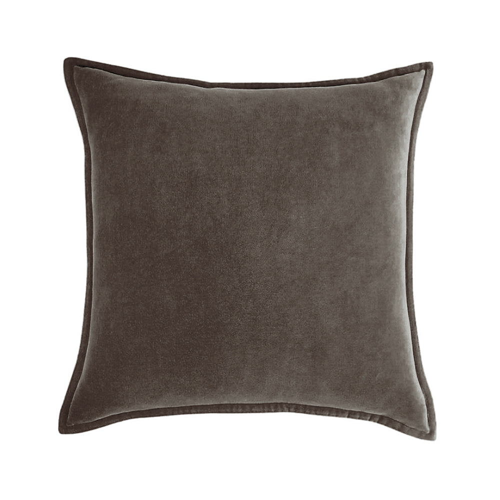 Velvet Throw Pillow with Insert, 20 x 20 in