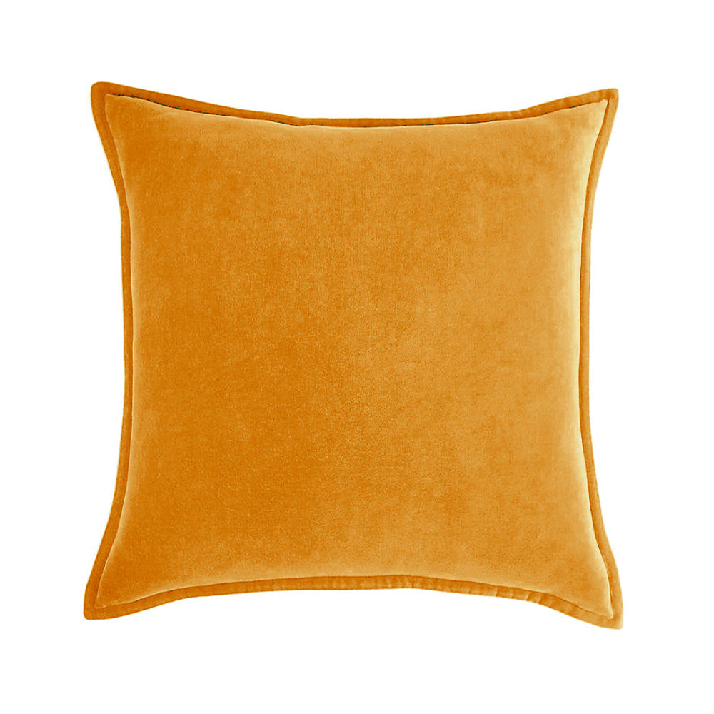 Velvet Throw Pillow with Insert, 20 x 20 in