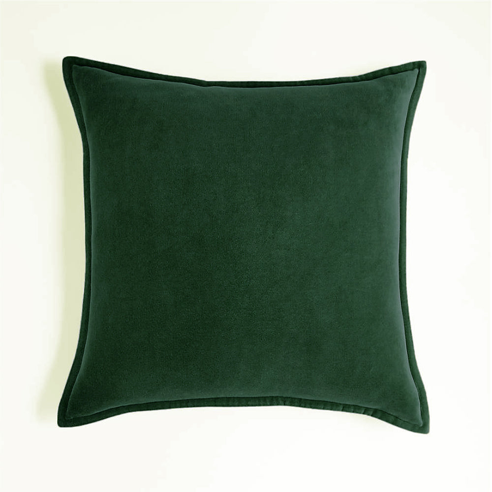 Velvet Throw Pillow with Insert, 20 x 20 in