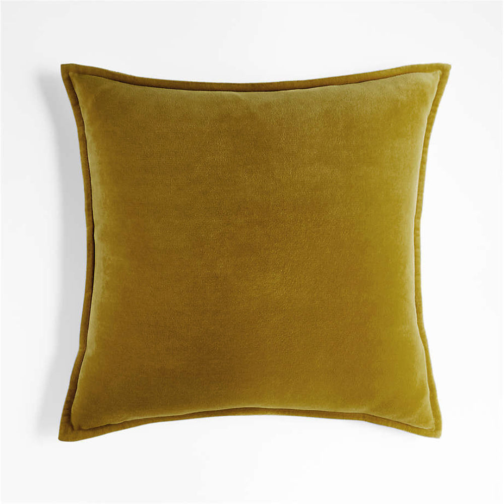 Velvet Throw Pillow with Insert, 20 x 20 in