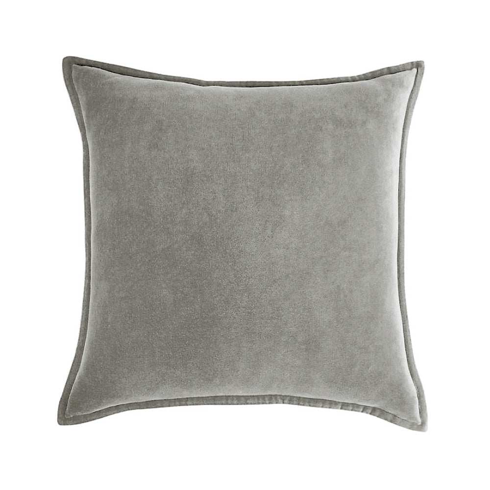 Velvet Throw Pillow with Insert, 20 x 20 in