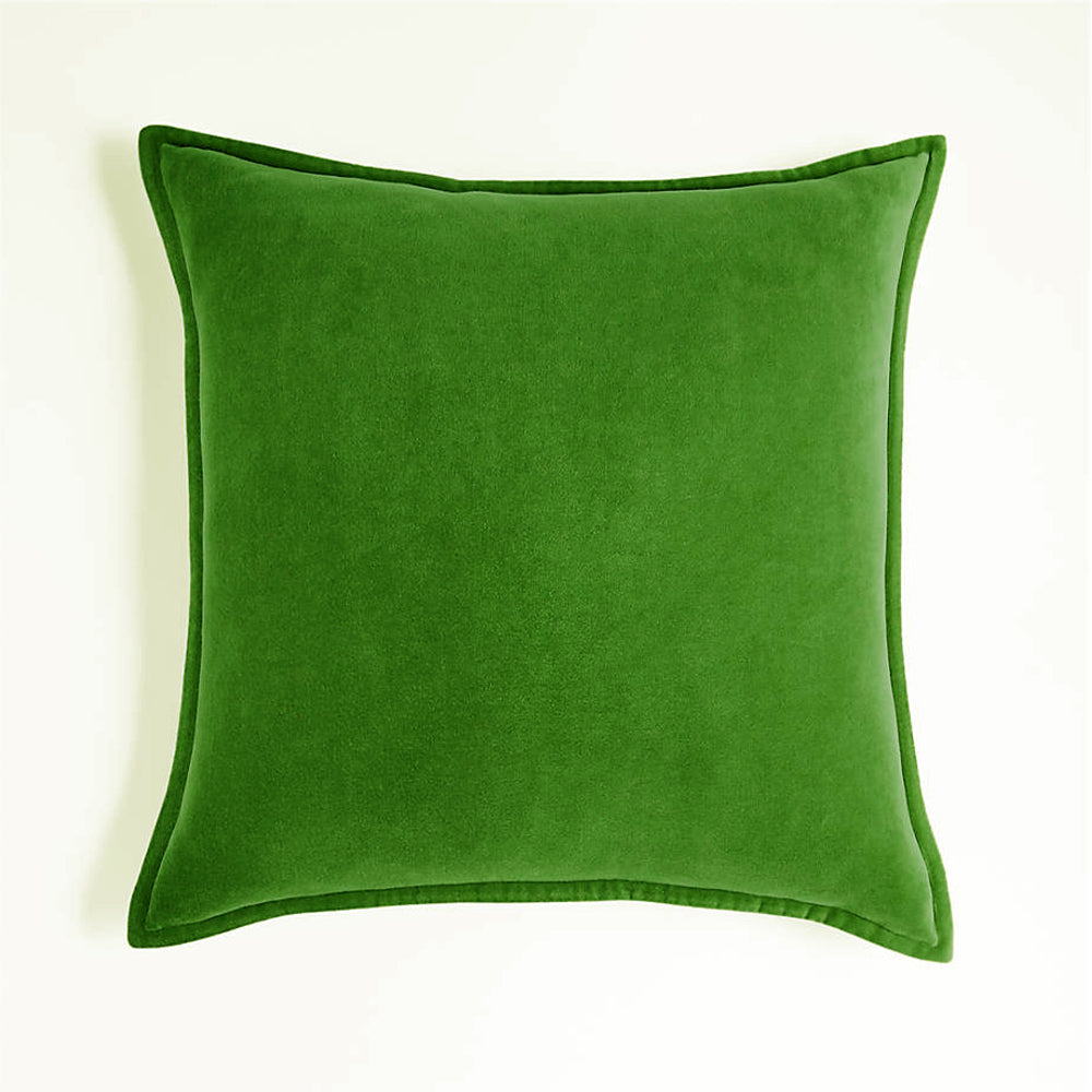 Velvet Throw Pillow with Insert, 20 x 20 in