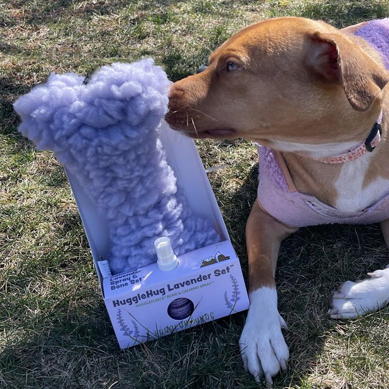 HuggleHug Lavender Dog Toy and Calming Spray Set