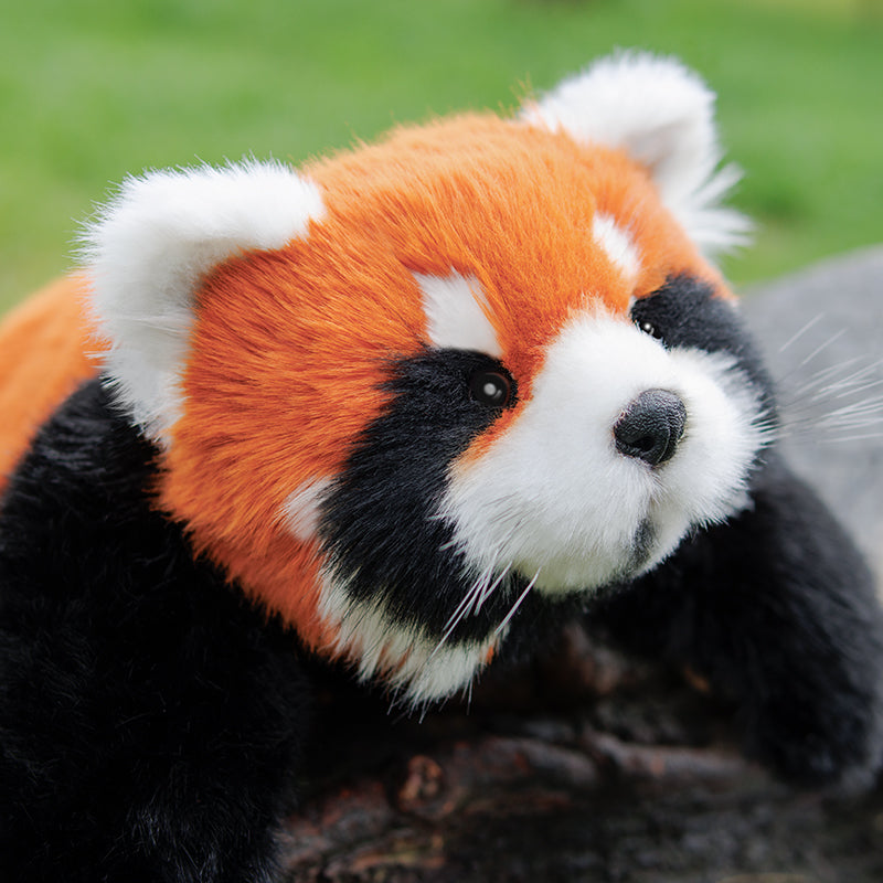 Weighted Red Panda Plush, 2.5 lb