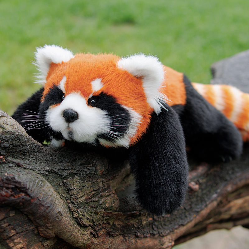 Weighted Red Panda Plush, 2.5 lb