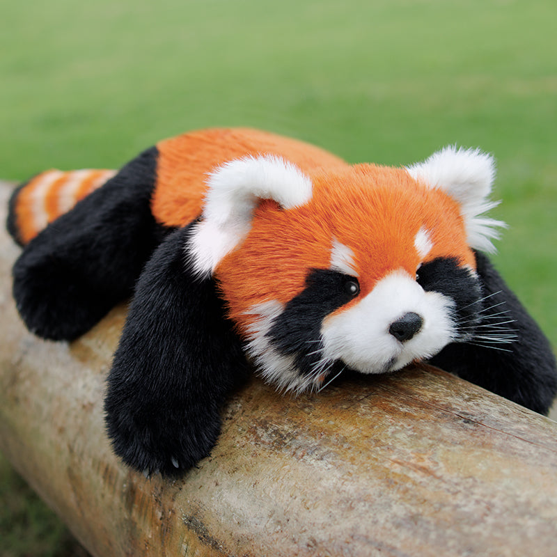Weighted Red Panda Plush, 2.5 lb