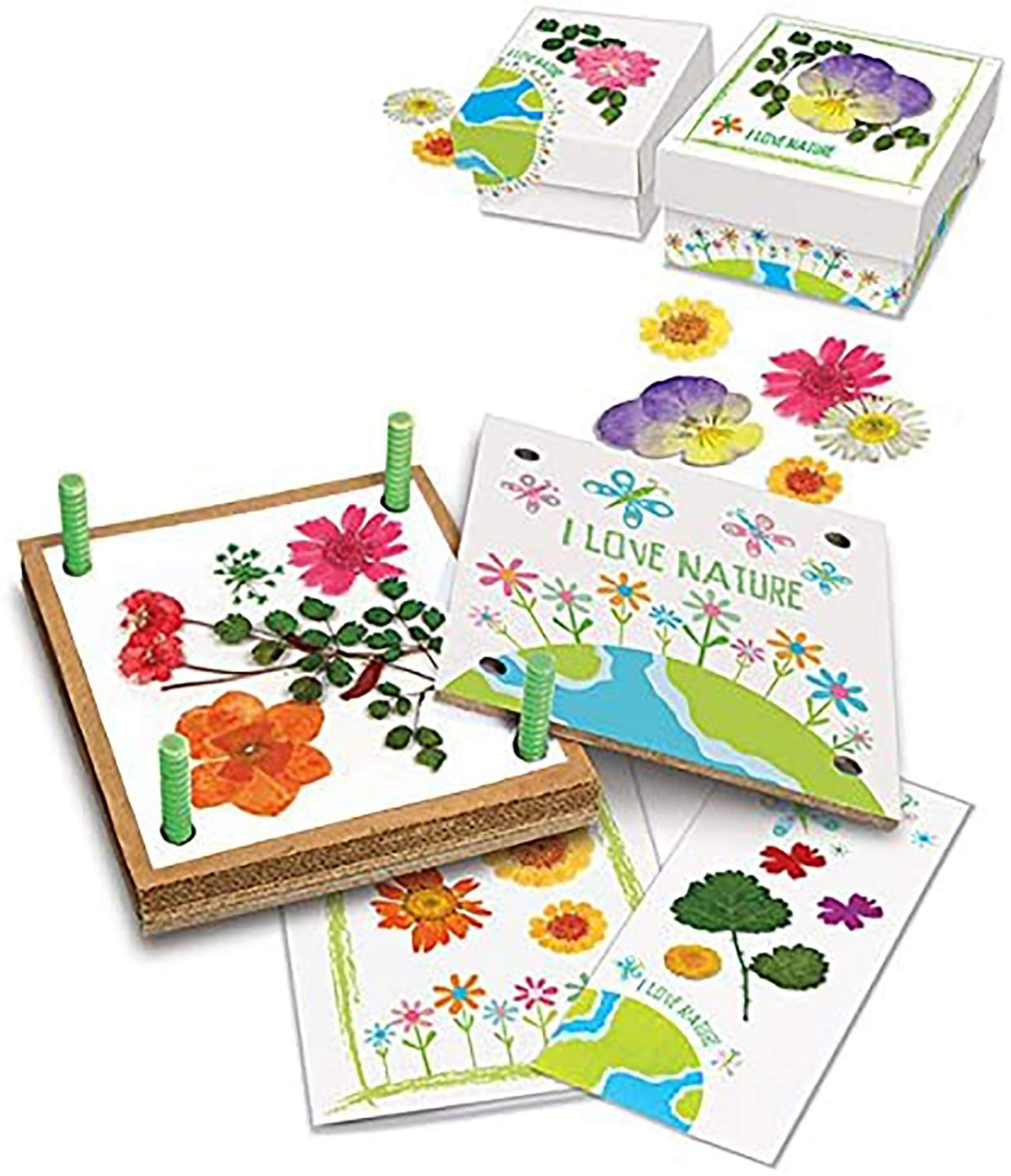 Pressed Flower Art DIY Kit