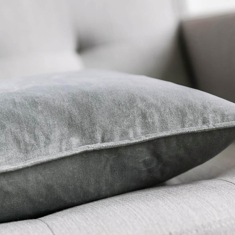Velvet Throw Pillow with Insert, 20 x 20 in