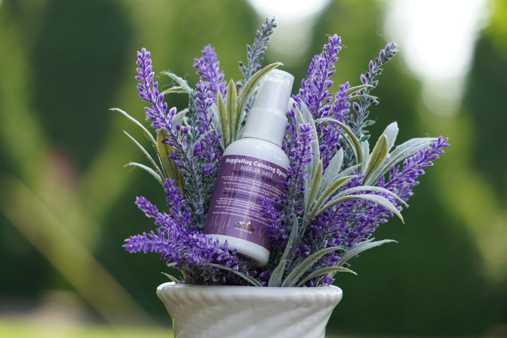 HuggleHug Lavender Dog Toy and Calming Spray Set