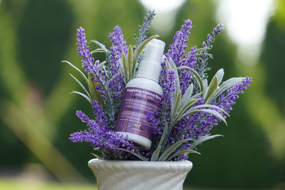 HuggleHug Lavender Dog Toy and Calming Spray Set